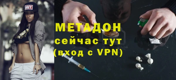гашик Алексин