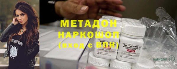 гашик Алексин