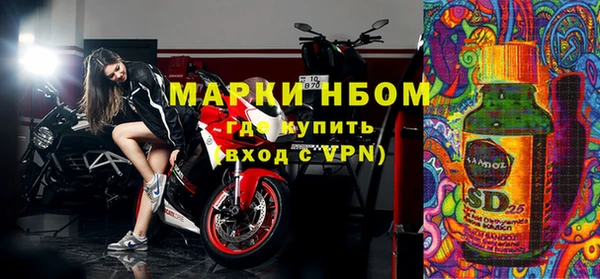 гашик Алексин