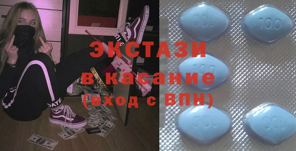 гашик Алексин